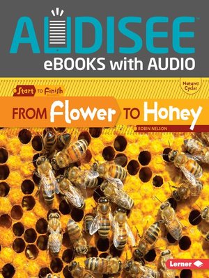 cover image of From Flower to Honey